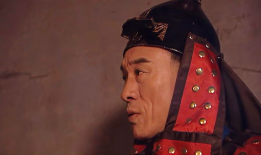 大将军年羹尧电视剧,权谋与忠诚的较量